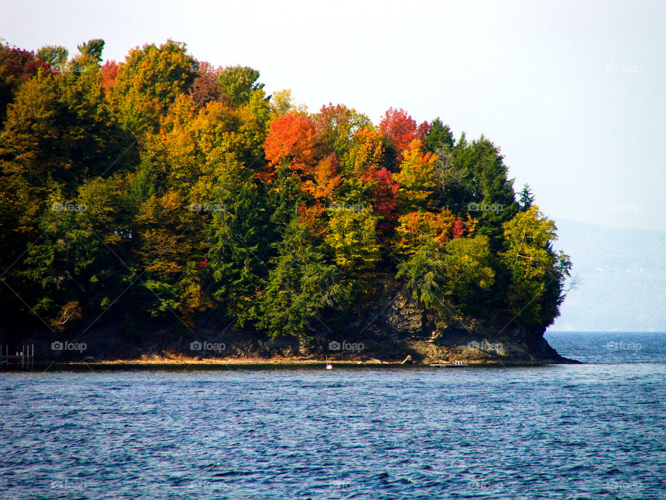 Trees beginning to exhibit signs of Autumn on the shores of Lake Champlain.