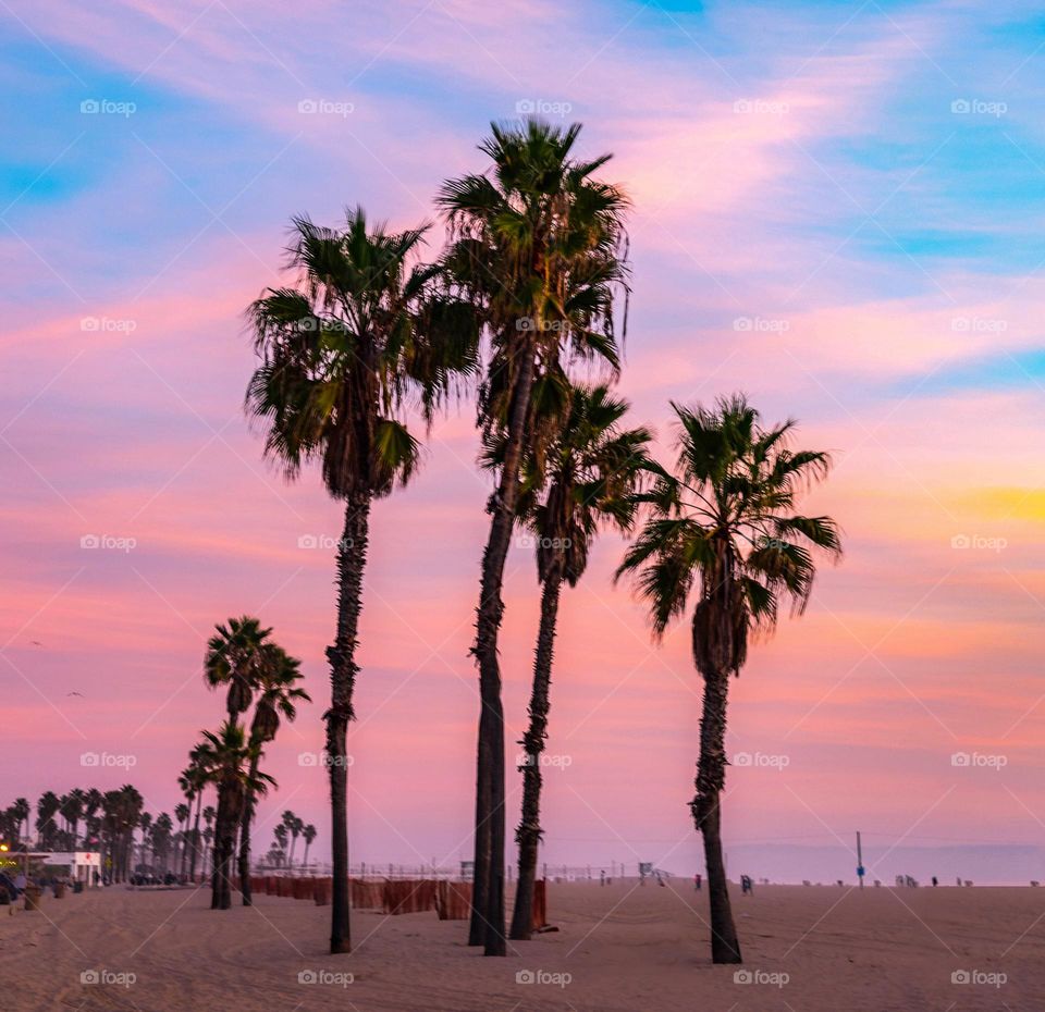 Pink Sunset at Los Angeles