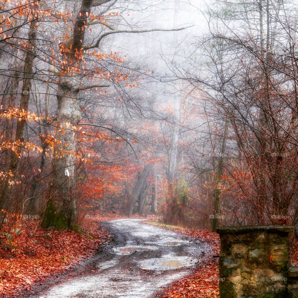 fog and rain on rural road