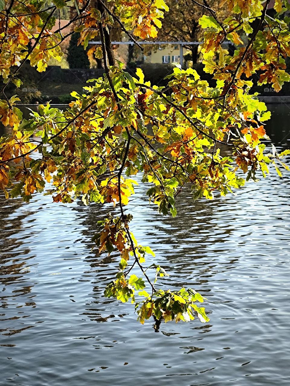 Herbstspaziergang