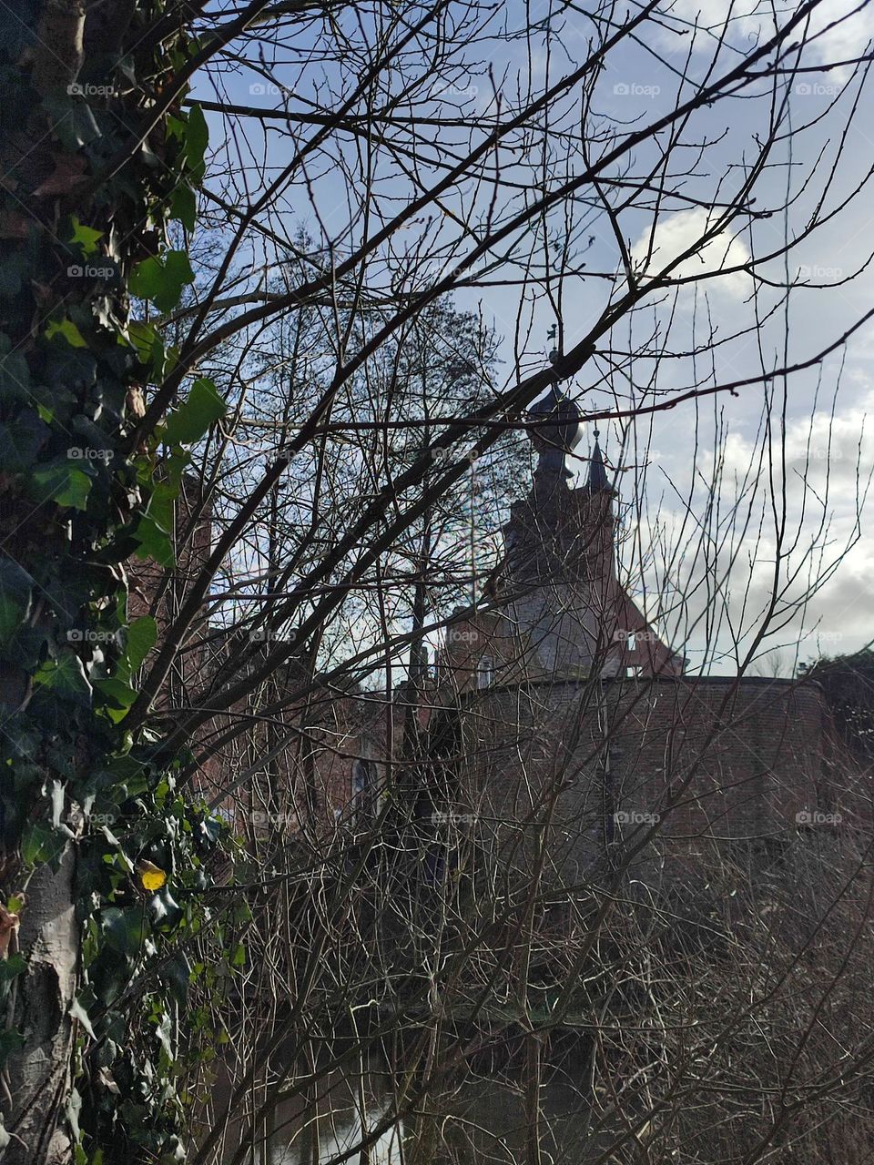 Visit of the castle of Havré, Hainaut