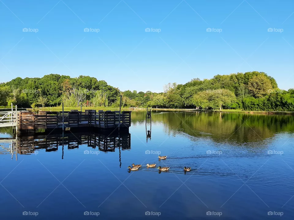 Lake.