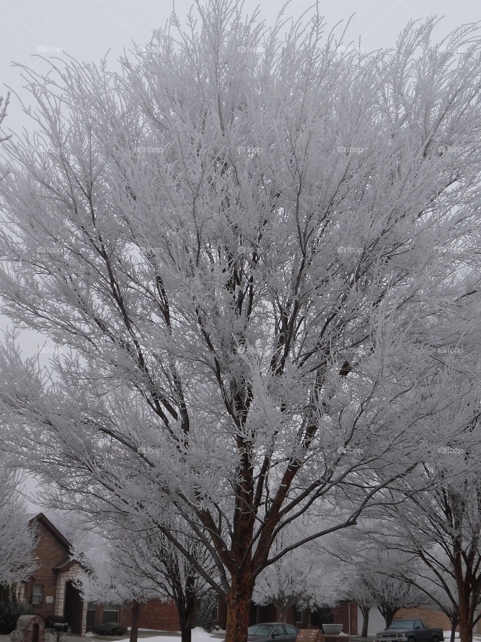 Texas wind 💨 frozen