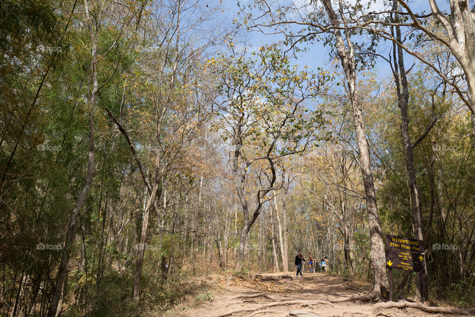 Tourist in the forest 