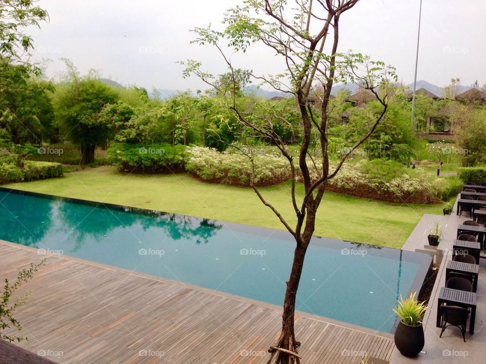 landscape pond and garden