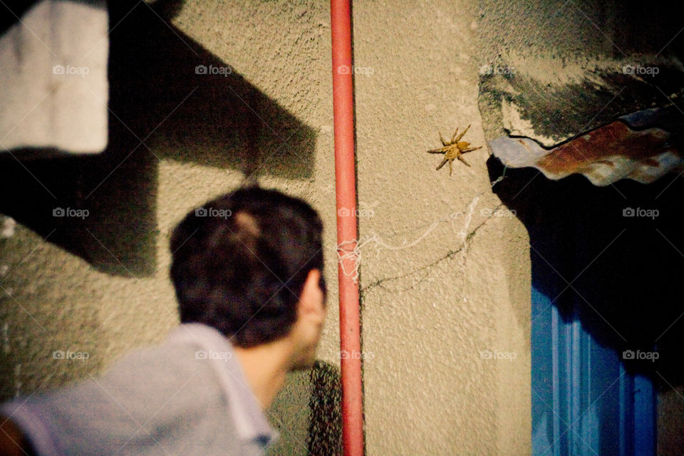 spider 🕷 on the wall