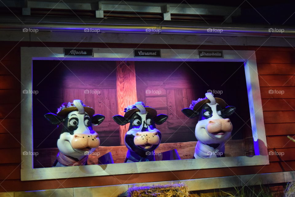 Hershey Factory Cowgirls