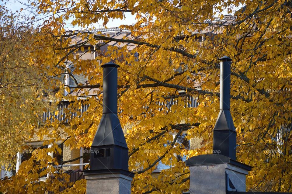 Chimneys