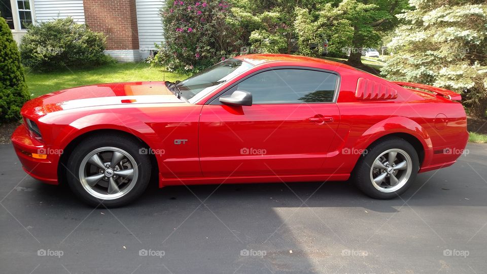 2005 Mustang GT. A recently purchased red 2005 Mustang GT