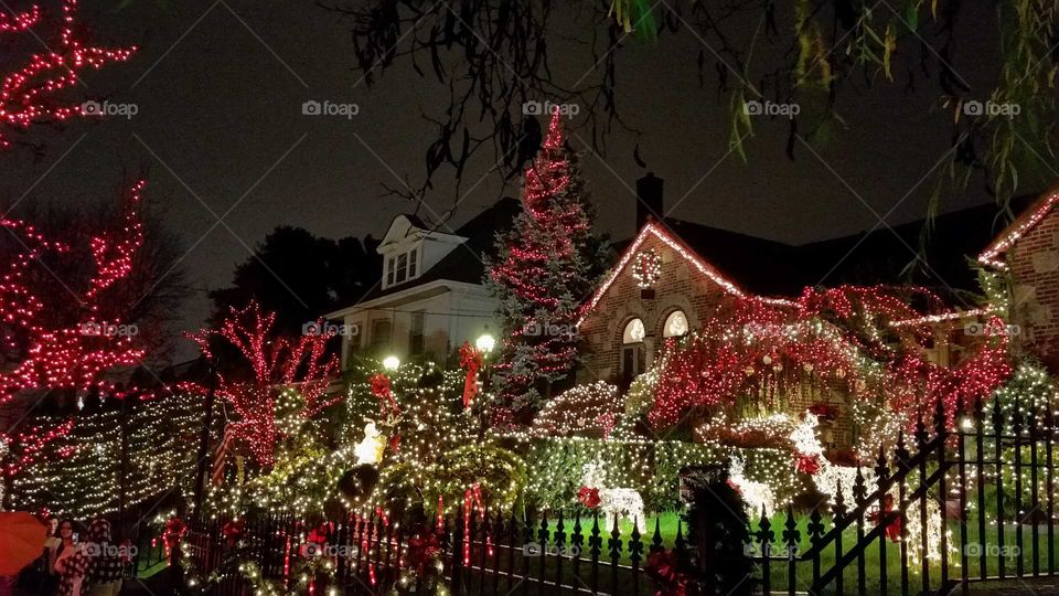 Christmas in Dyker Heights