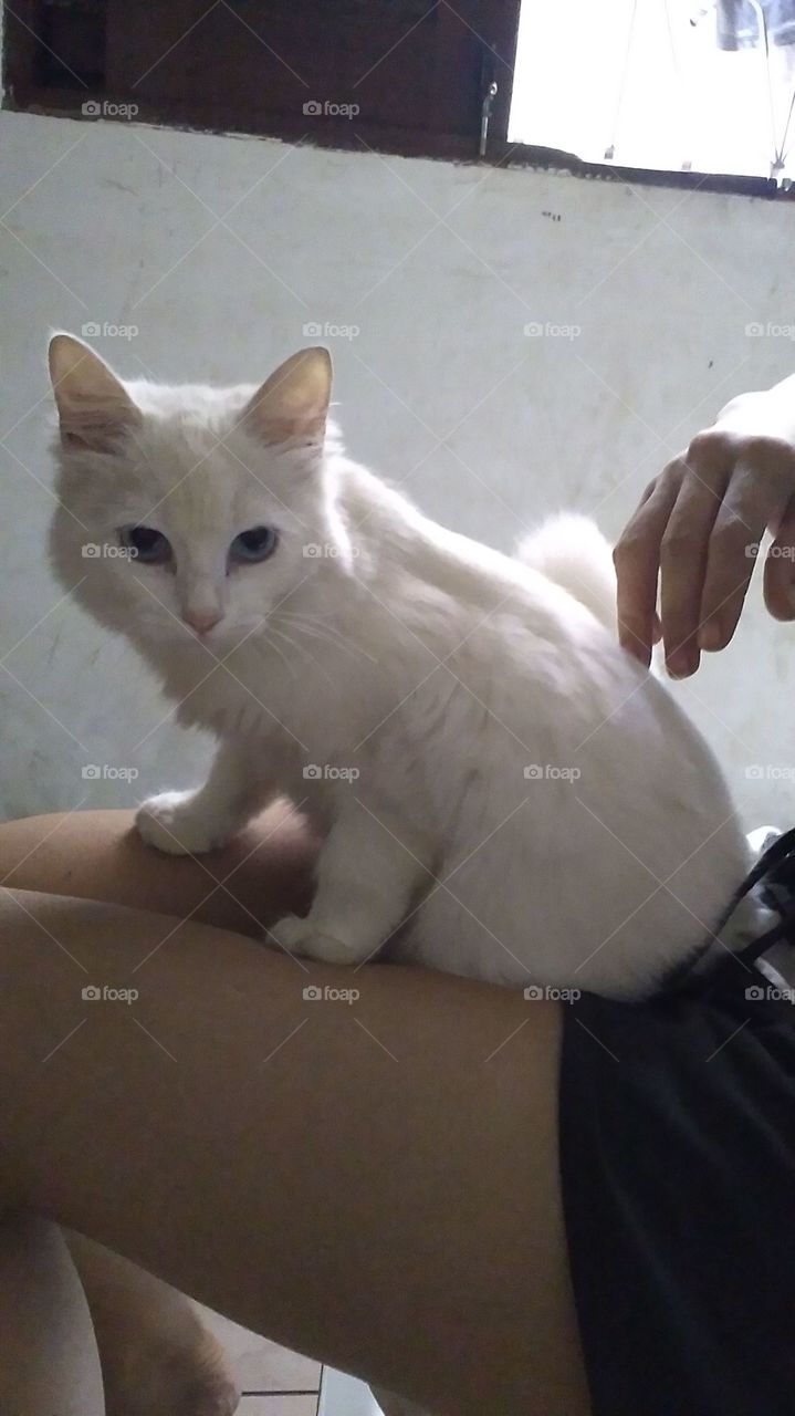 sorria você está sendo observado 😂