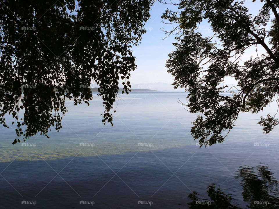 Silhouette of trees at Starnberger See in Starnberg, Germany.