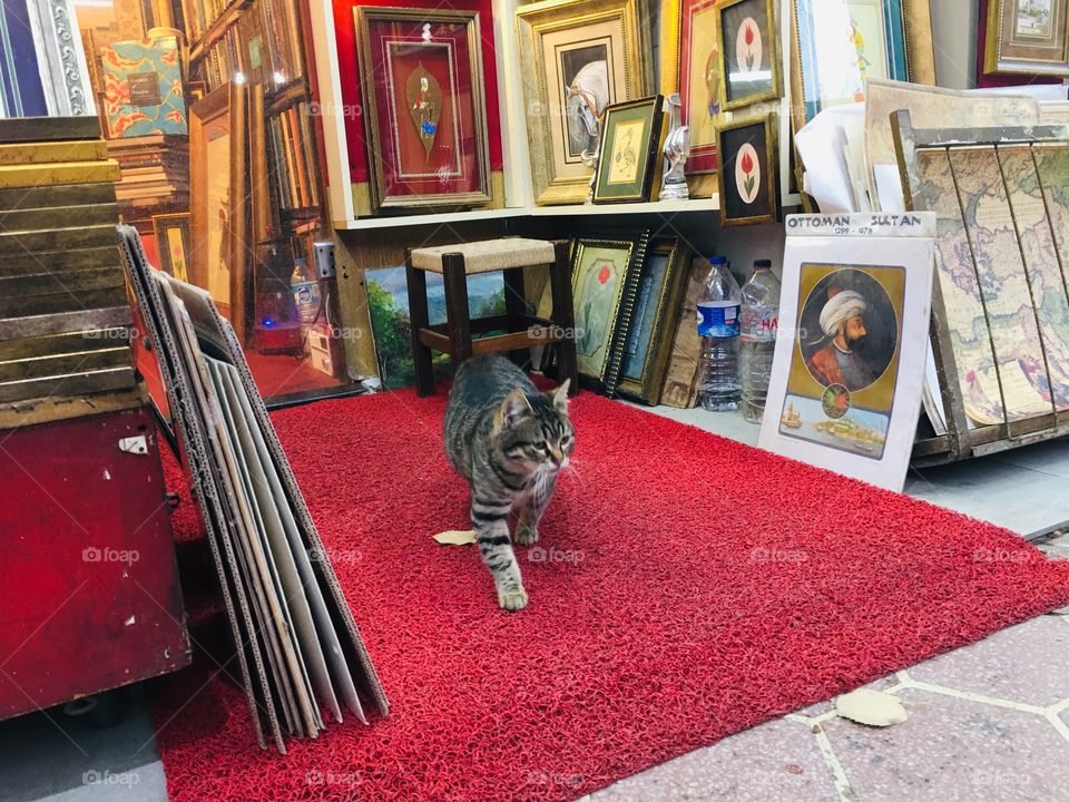 В поисках смысла