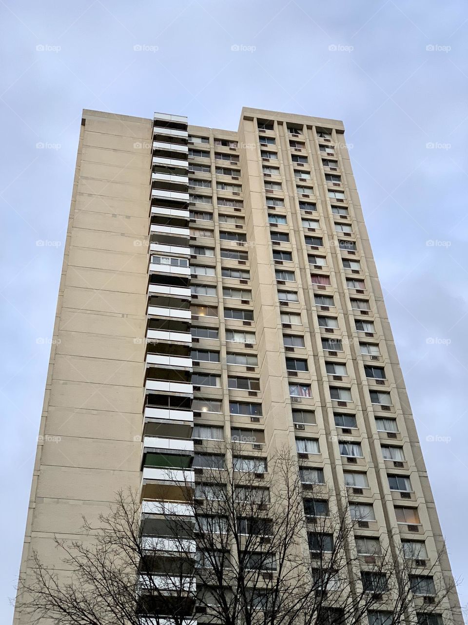 Bare tree and the building