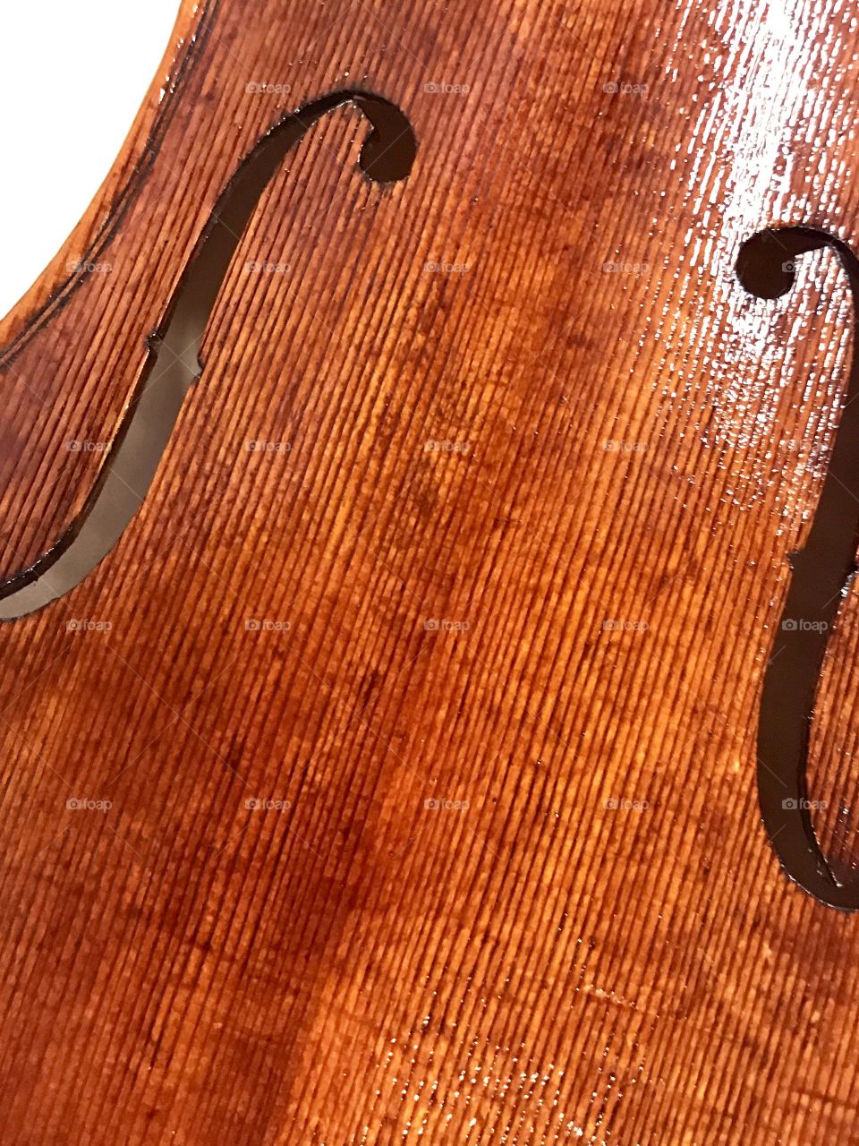 Close-Up Violin