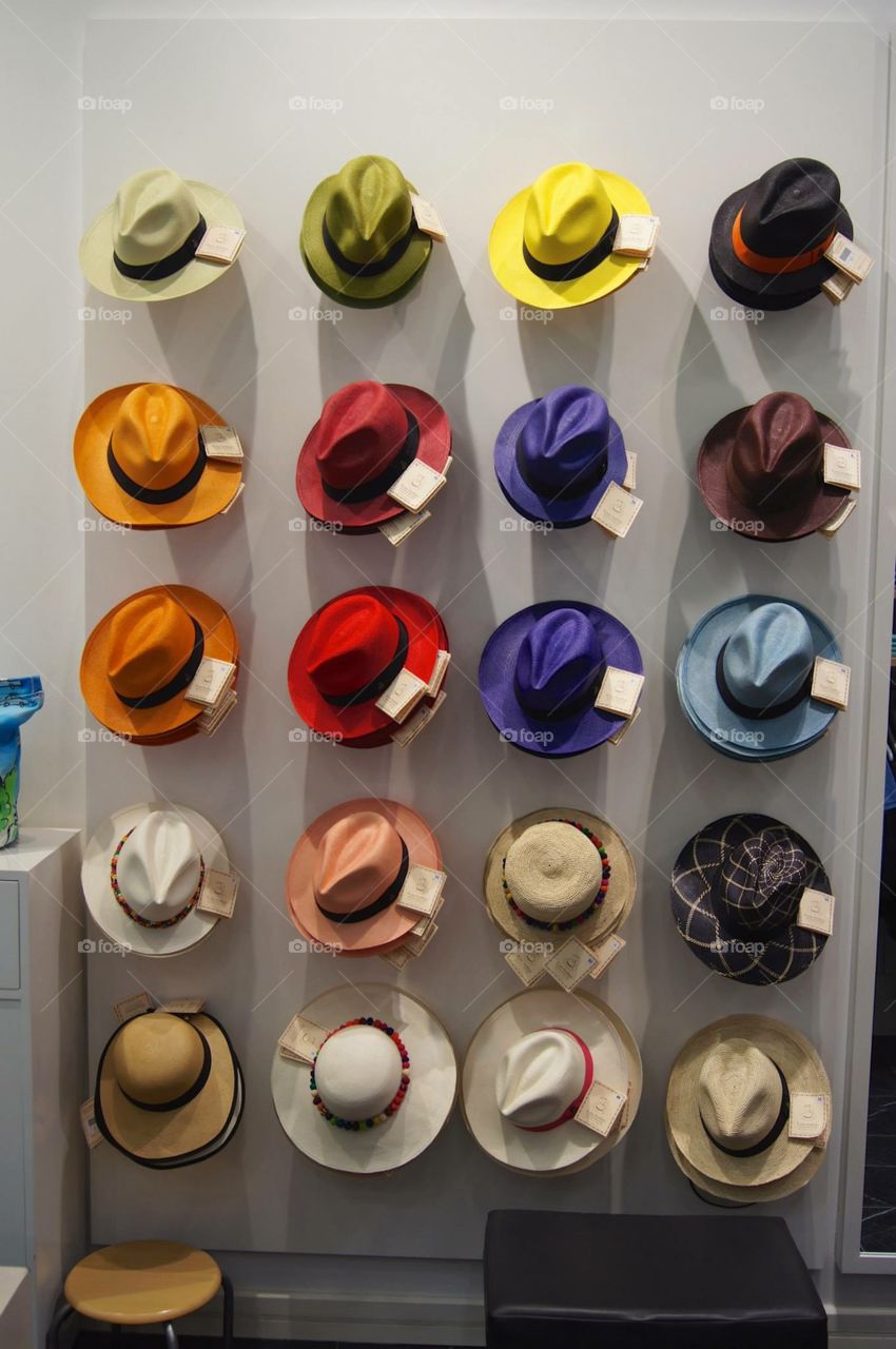 Panama Hats . Took this photo inside Atlantis Dubai Aquarium. 