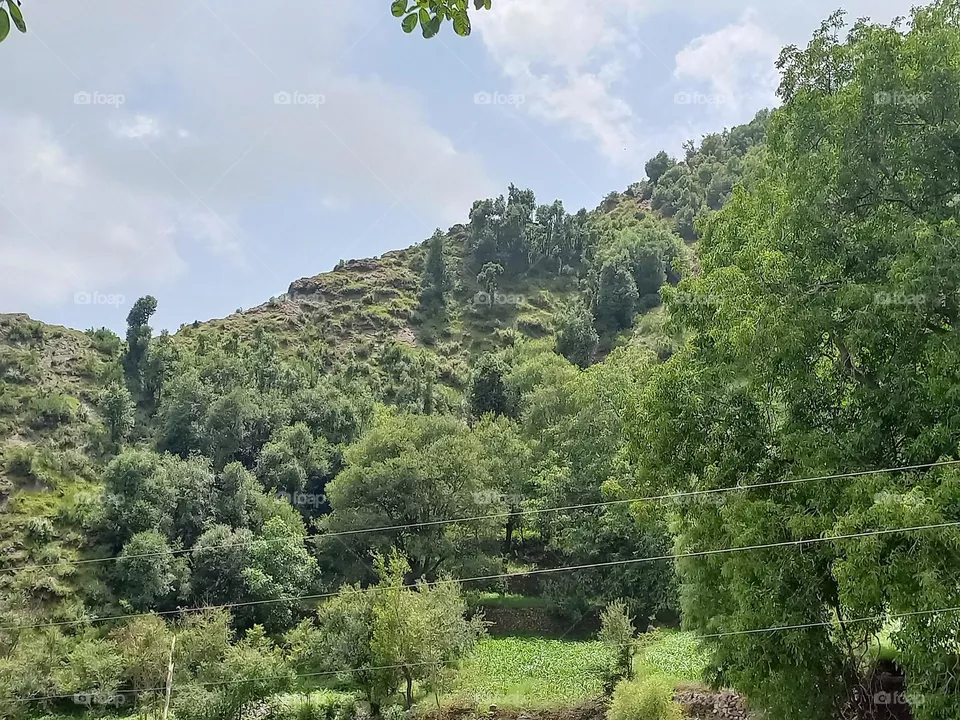 velly in mountain