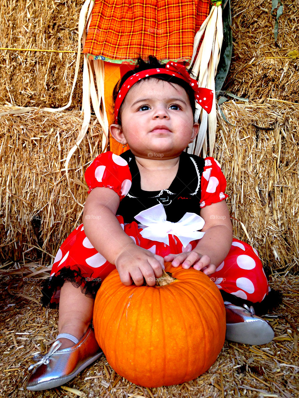 Pumpkin Patching