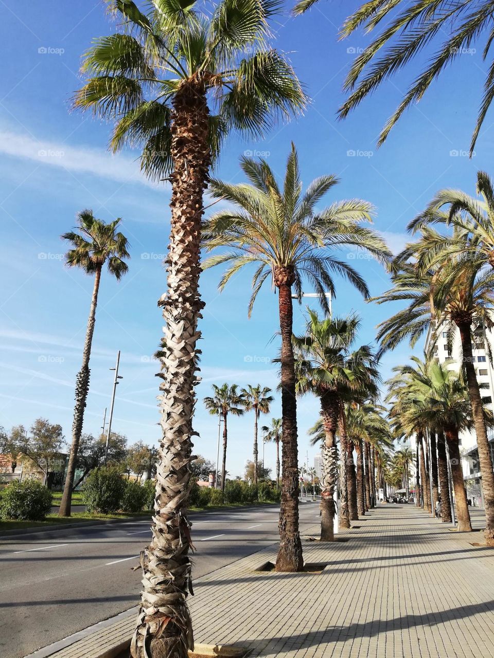 Urban Nature - Miami Beach