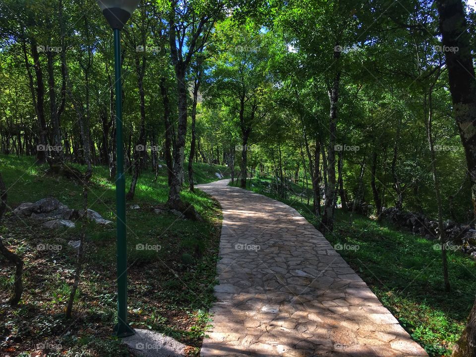 Goranci, Herzegovina