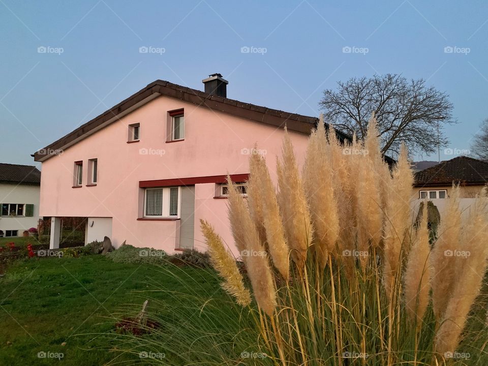 Ornamental grass and house in Switzerland 