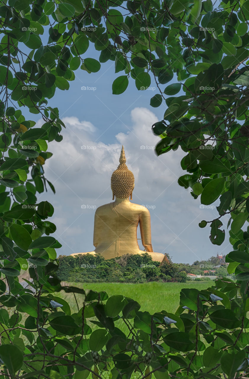 Beautiful big buddha scene in Thailand