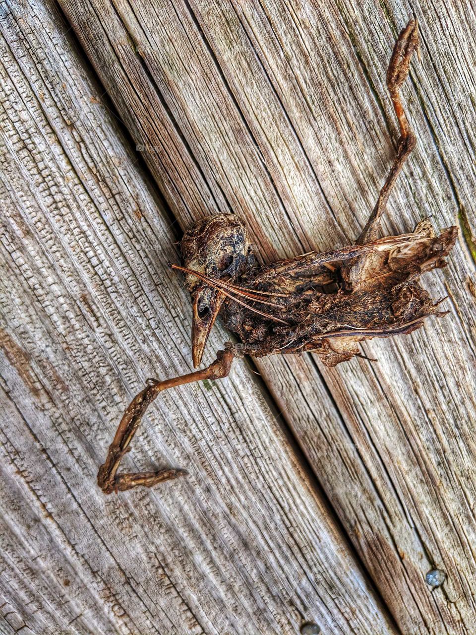 Wood, Wooden, Desktop, Log, Rough