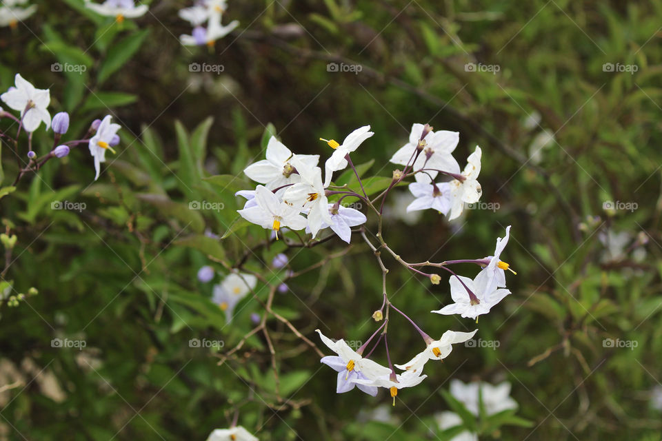 Gulf of Morbihan Brittany France