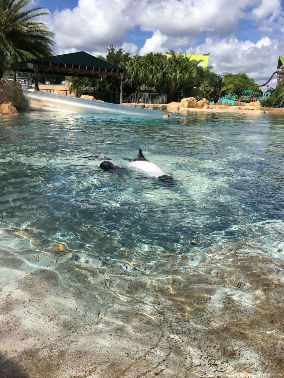 Click by Selsa.  A University of Central Florida student located in Orlando. Follow me @Selsa.clicks 