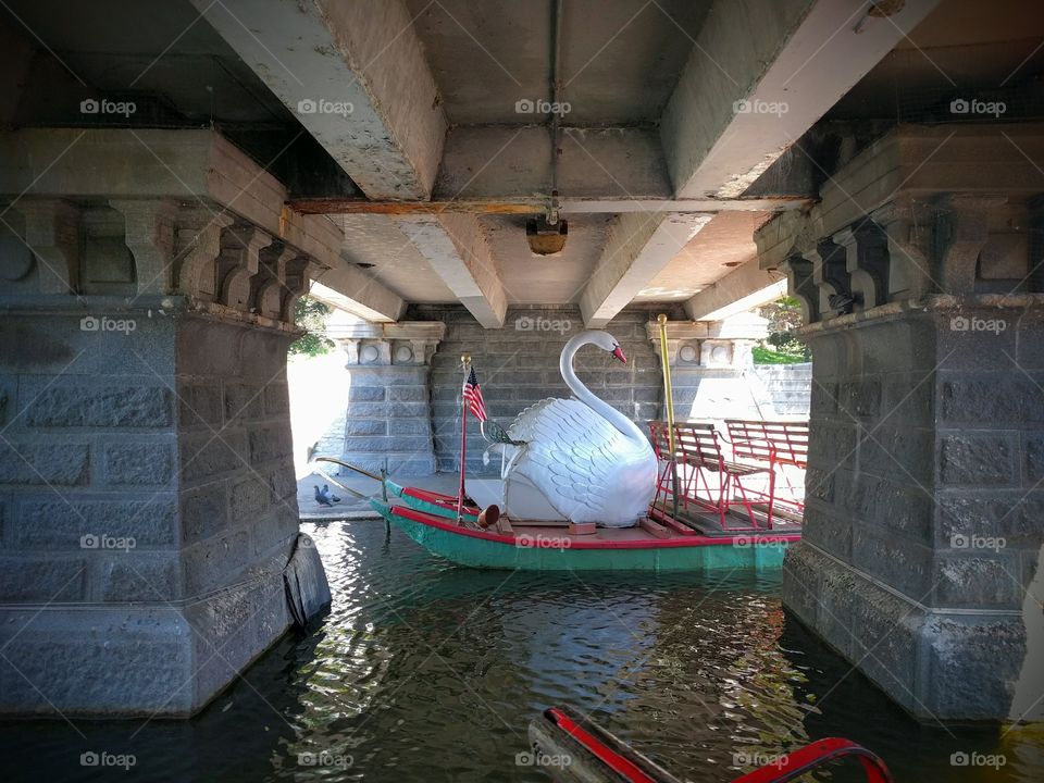 Swan Boat Cooling Off