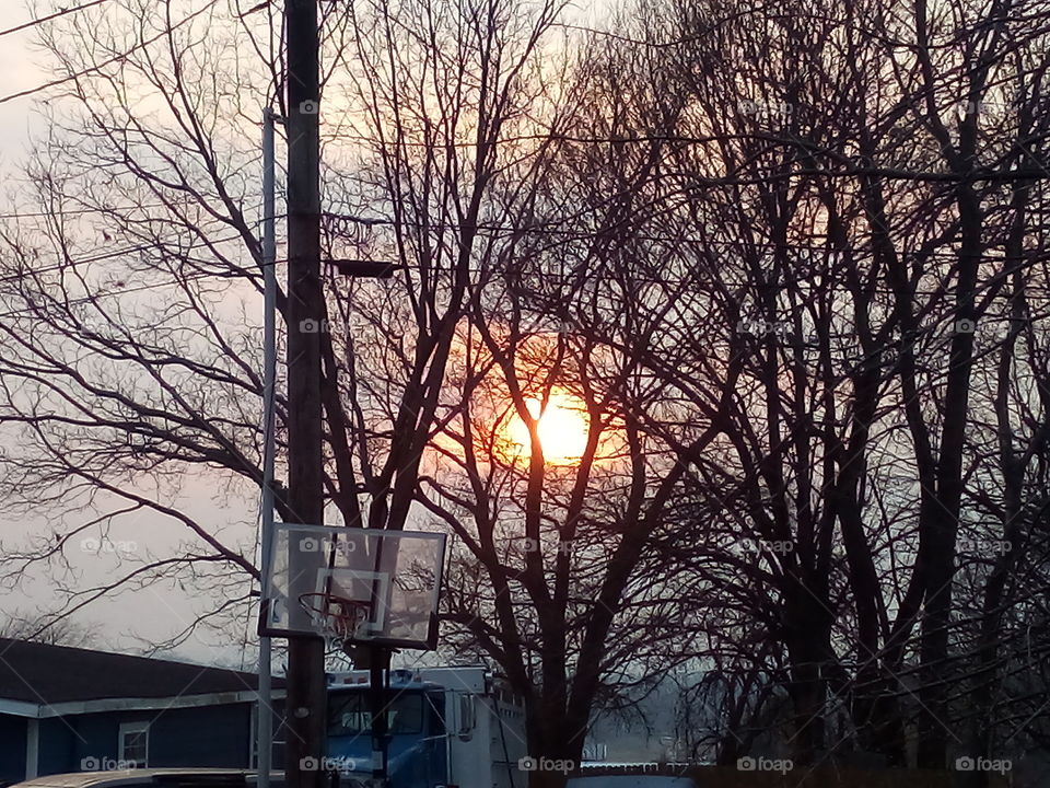 the evening sun once again shining it's last rays through the trees as it goes down.