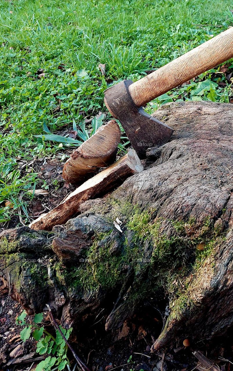 ax and firewood