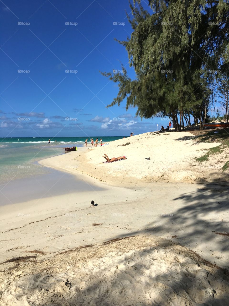 Awesome beaches. Hawaii 