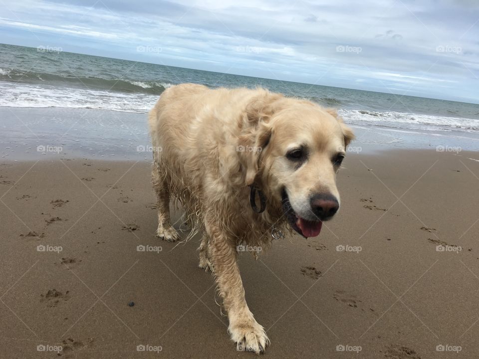 Sand, Beach, Water, Sea, No Person