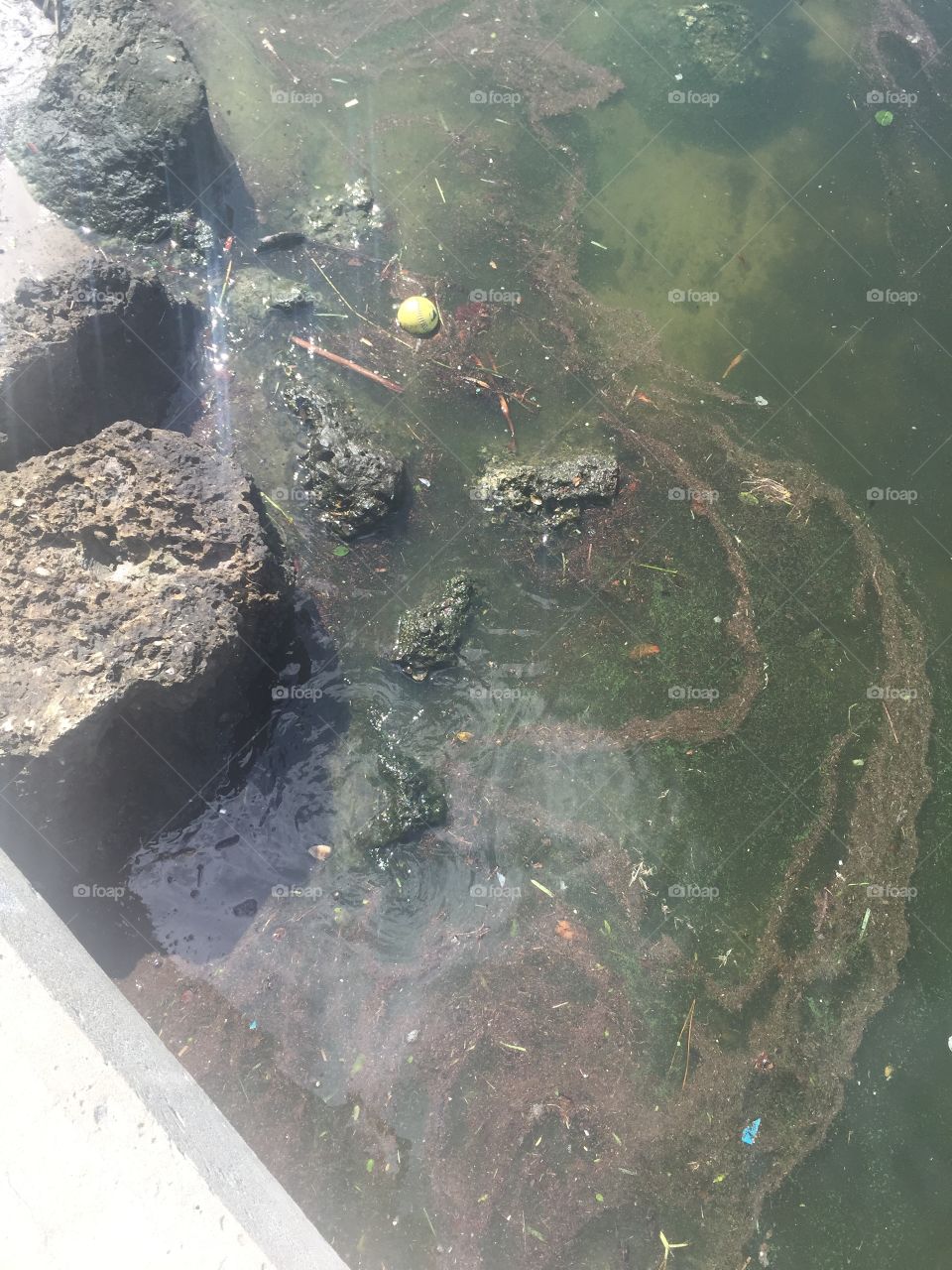 Water, Calamity, No Person, Environment, River