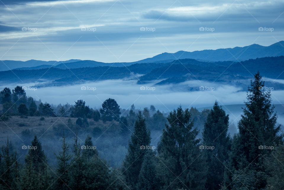 Evening mountain valley in the fog