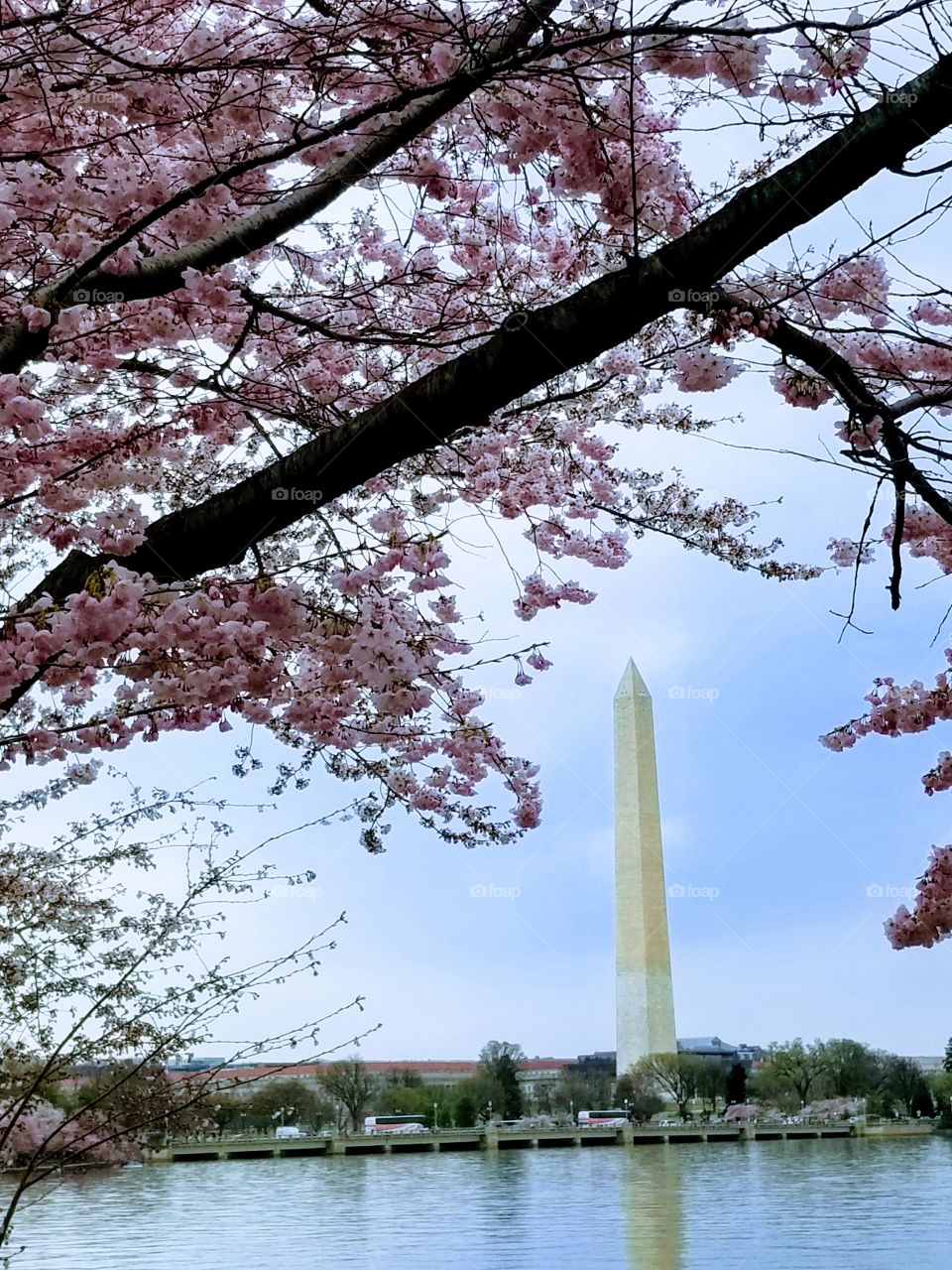 Washington Monument