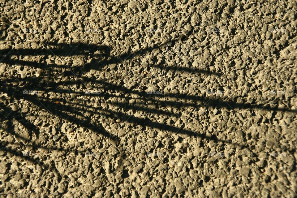 Grass shaddow on The road