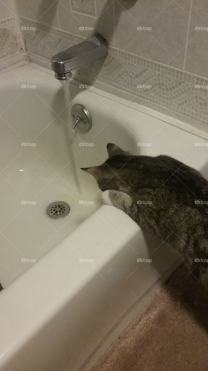 Curious About Water