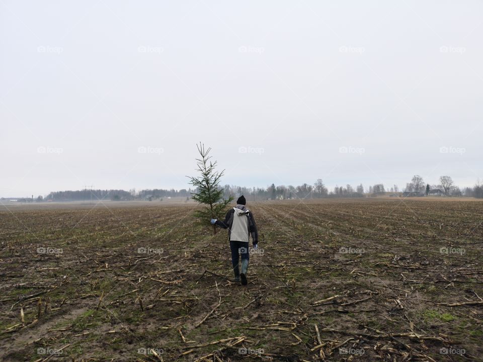 Rear view of man holding Christmas tree