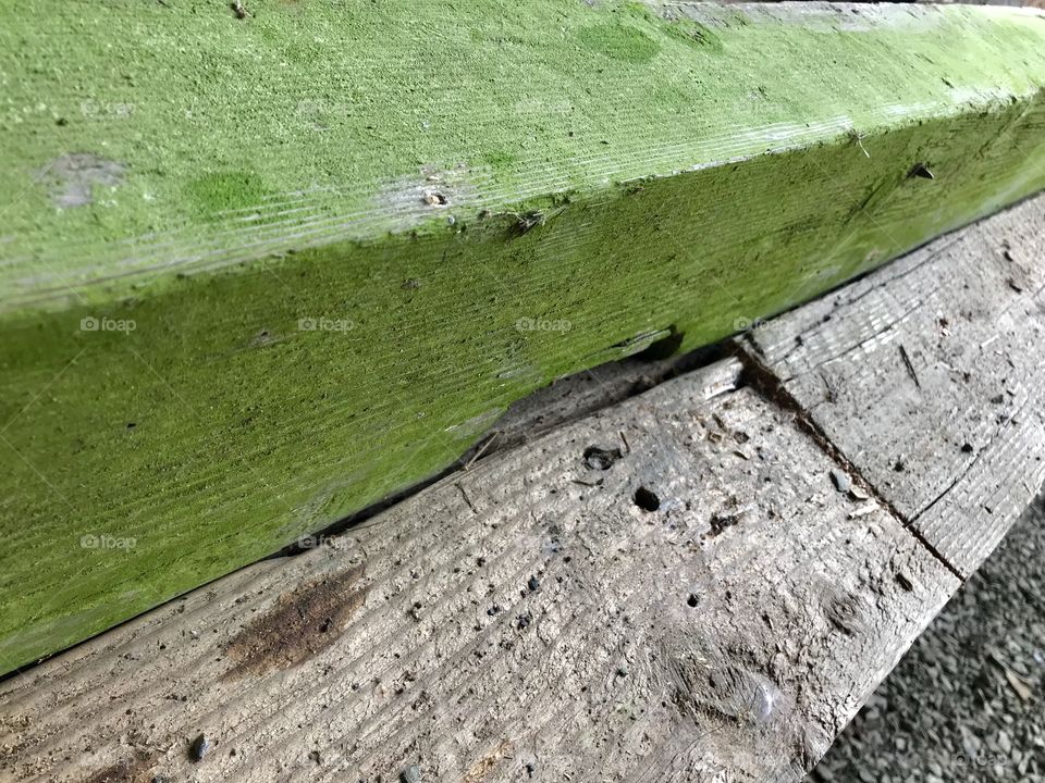 Mossy Barnwood Beam