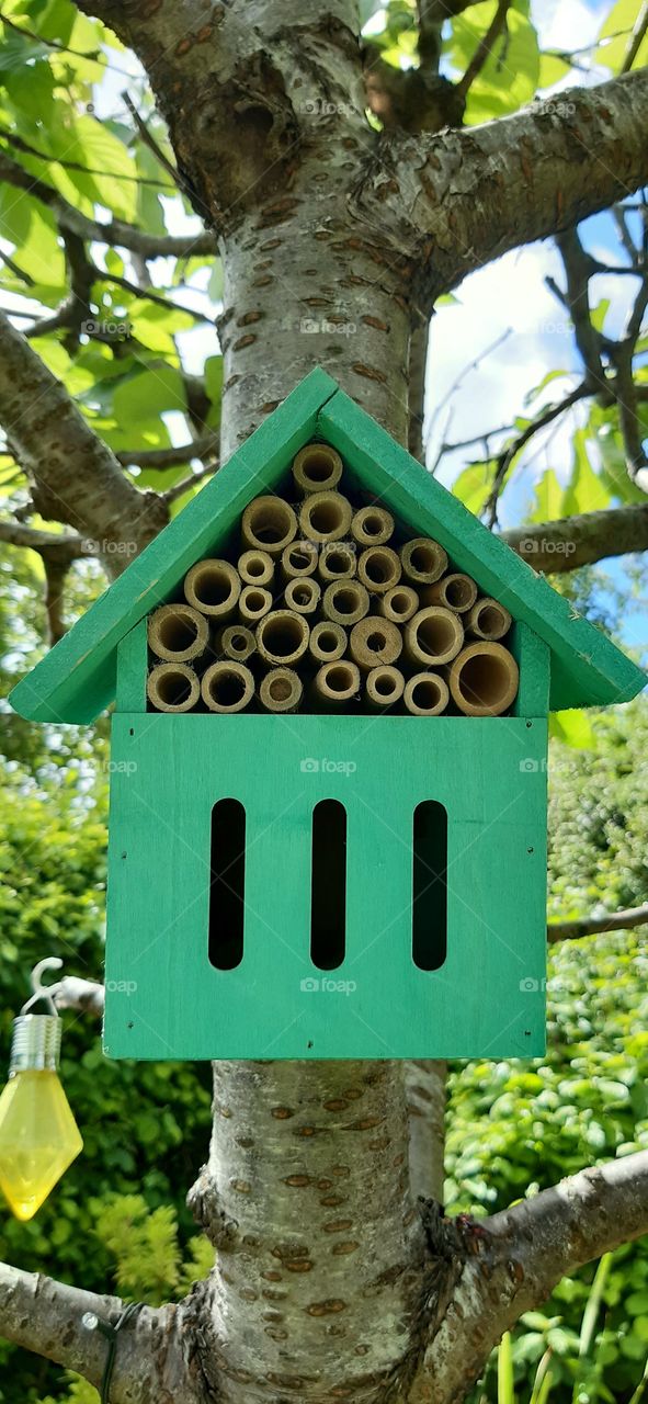 Bug hotel🐞🐝