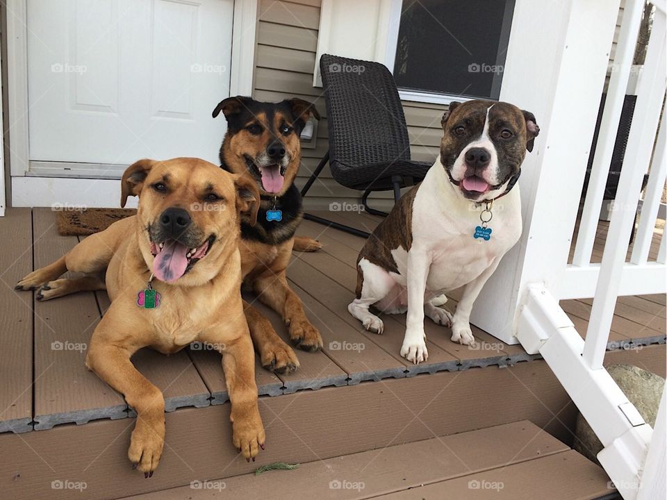 Friends on the porch 