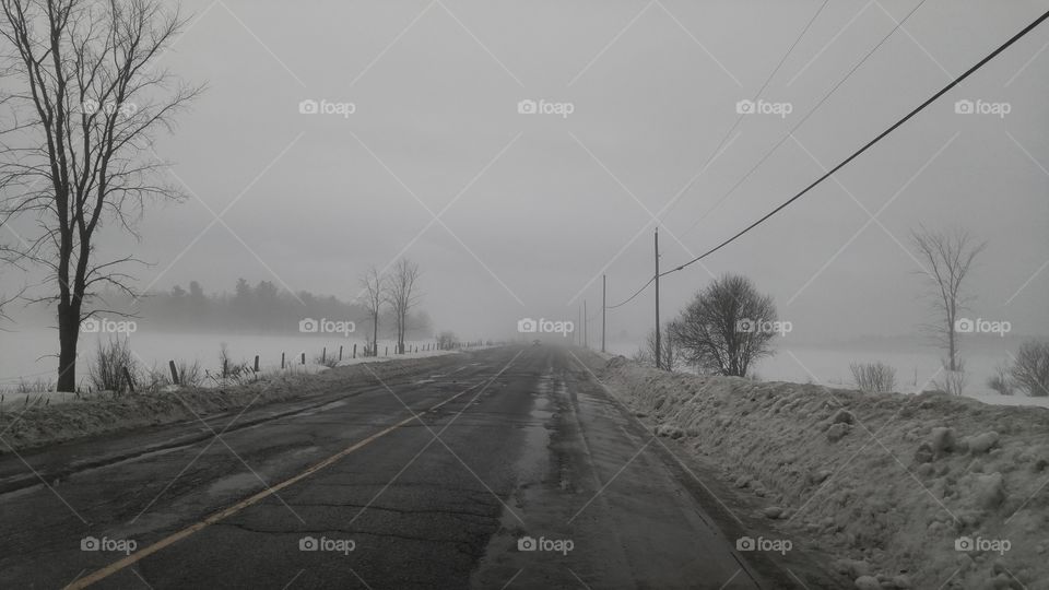 Foggy country road