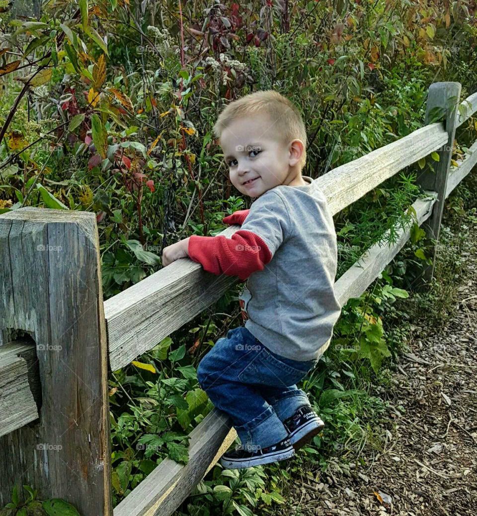toddler on fence