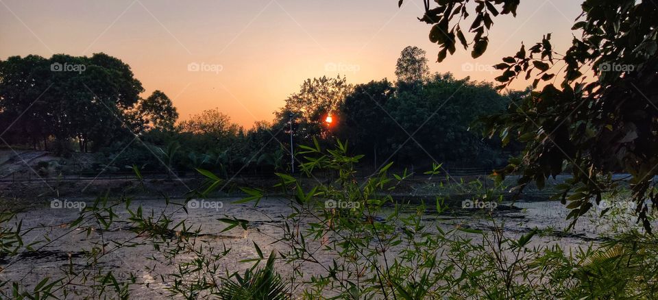 sneh botanical garden, surat