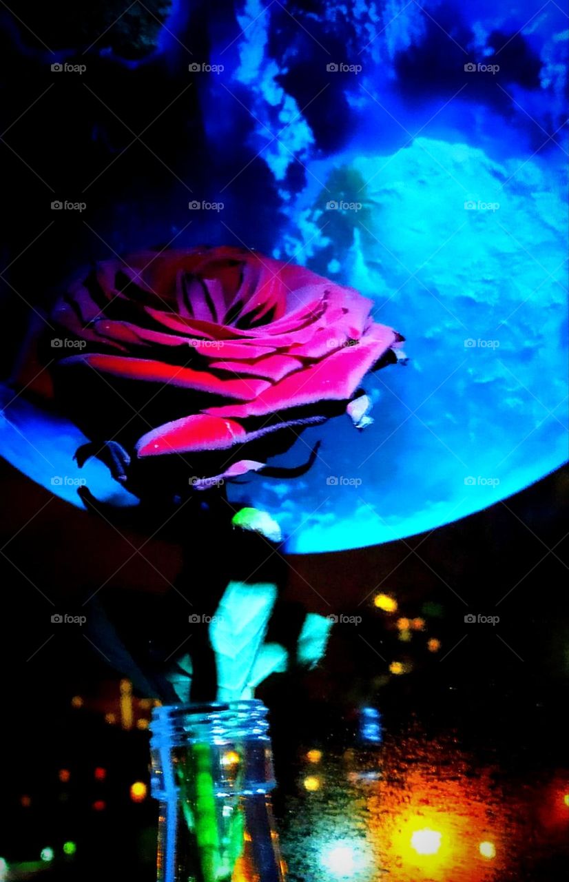 Baby blue. There is a red rose on the window in a bottle against the background of a sticker on the glass of the moon in the color of baby blue. Night shooting