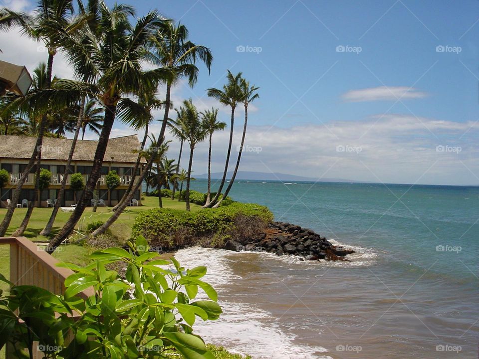In Maui