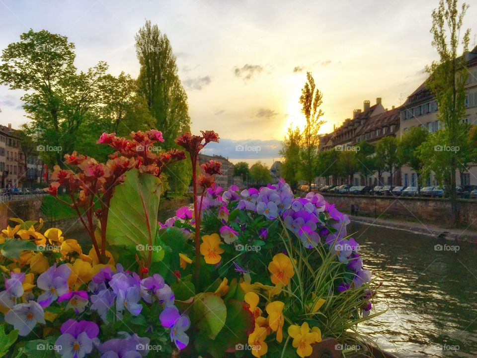 Strasbourg cityscape 