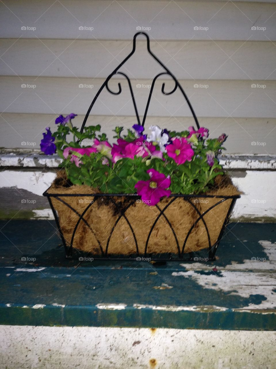 Wrought Iron Flower Basket, Medina, Ohio